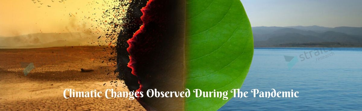Negative Climatic Changes Observed During The Pandemic: How Real Is The Damage?